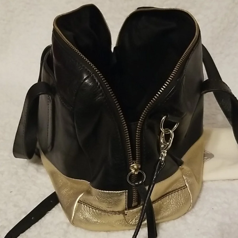 Fossil Sydney Original Satchel + Original Dust Cover